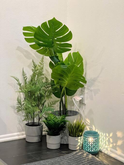 Hollywood Green Habitat 洛杉矶 外观 照片